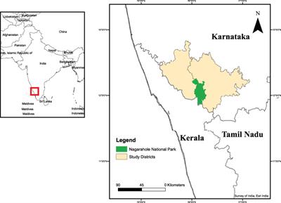 Good, quarrelsome, bad: animal agency and human-elephant interactions in the Western Ghats, India